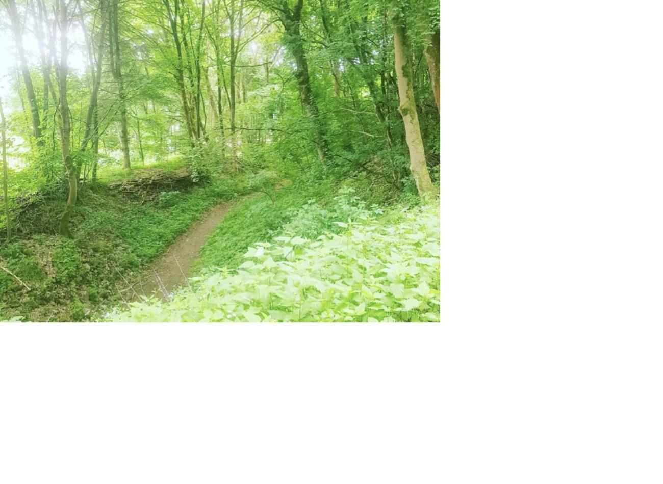 Aussergewoehnliche Auszeit - Metime1 Felsberg 외부 사진