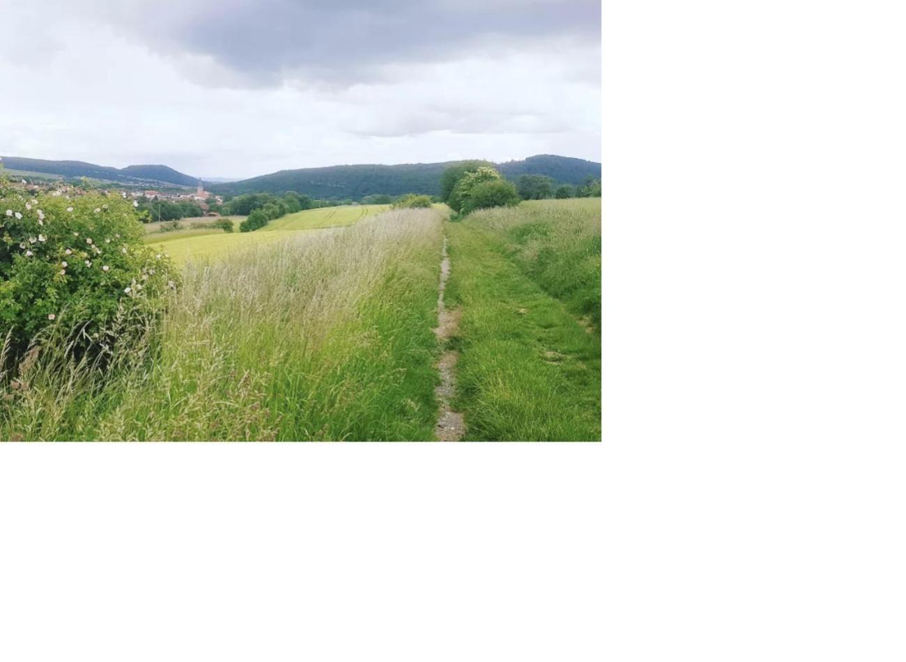 Aussergewoehnliche Auszeit - Metime1 Felsberg 외부 사진
